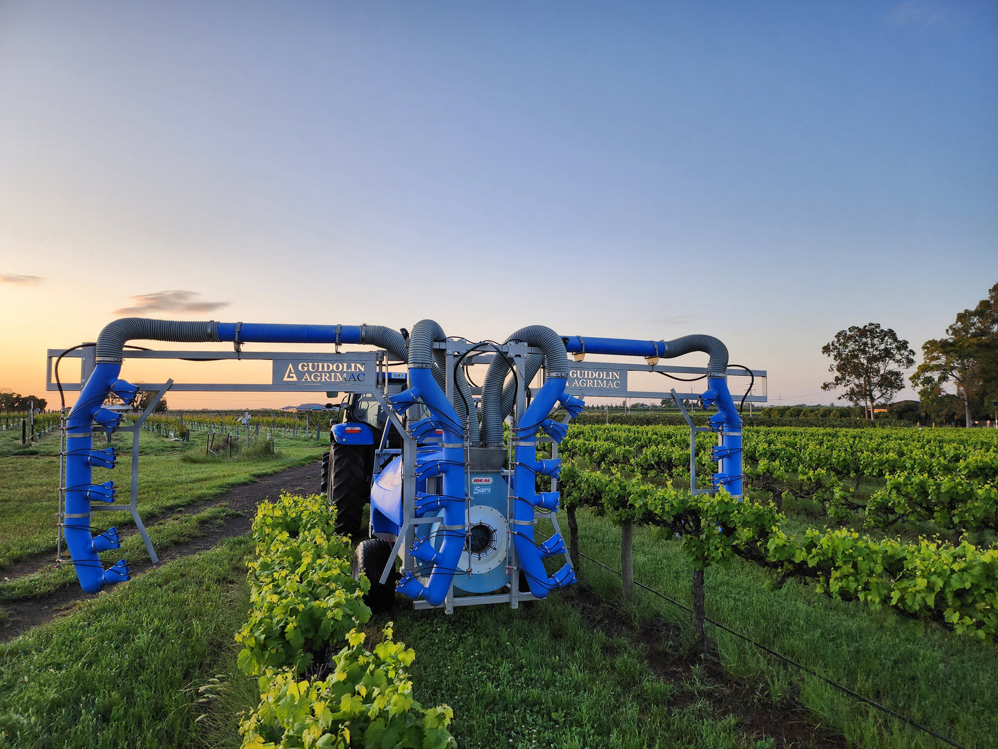 Vitistar 2 Row Vineyard