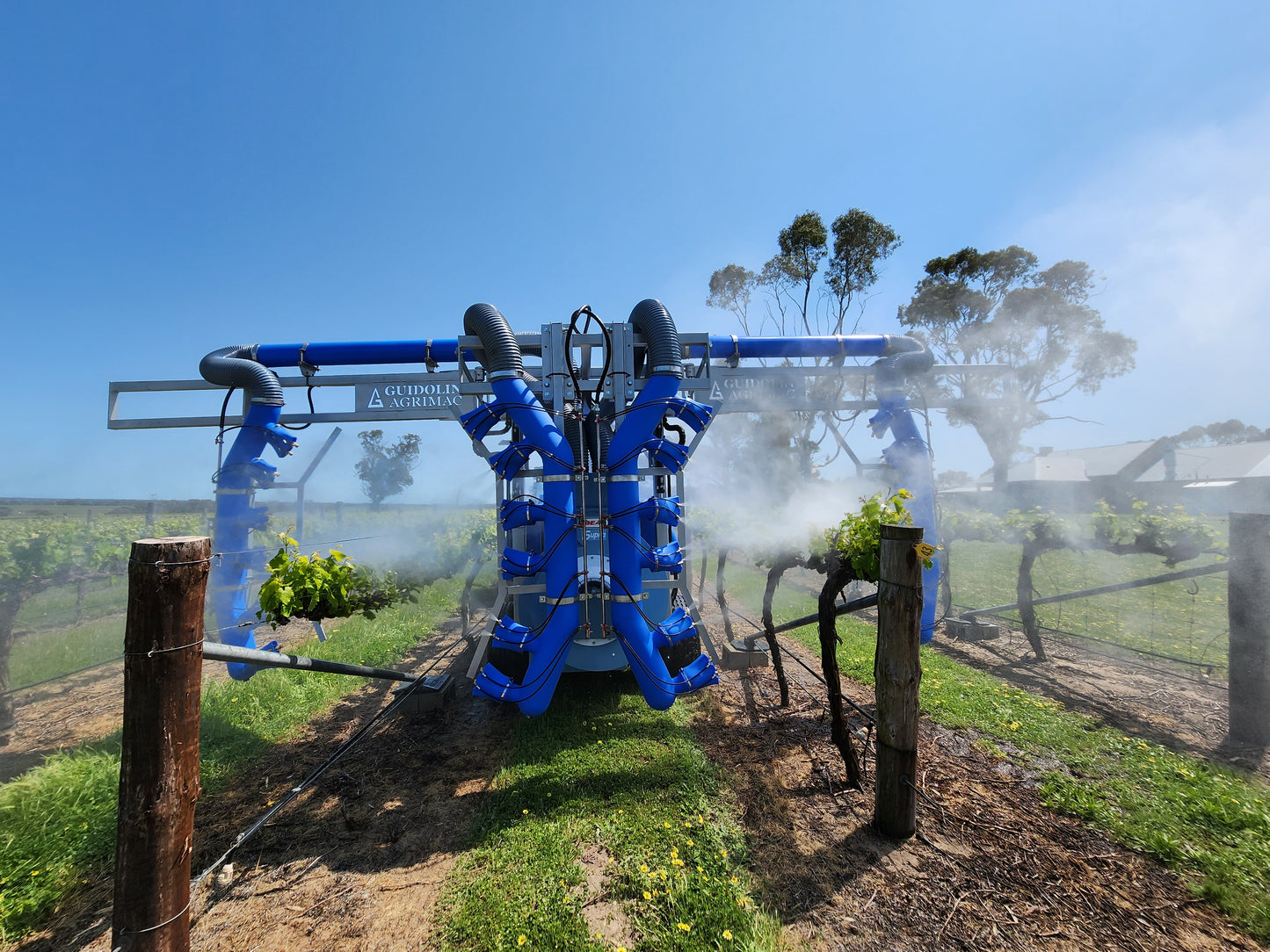 Vitistar 2 Row Vineyard