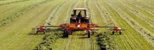 Fiorini - Super Big 1100 (Combination Rake)