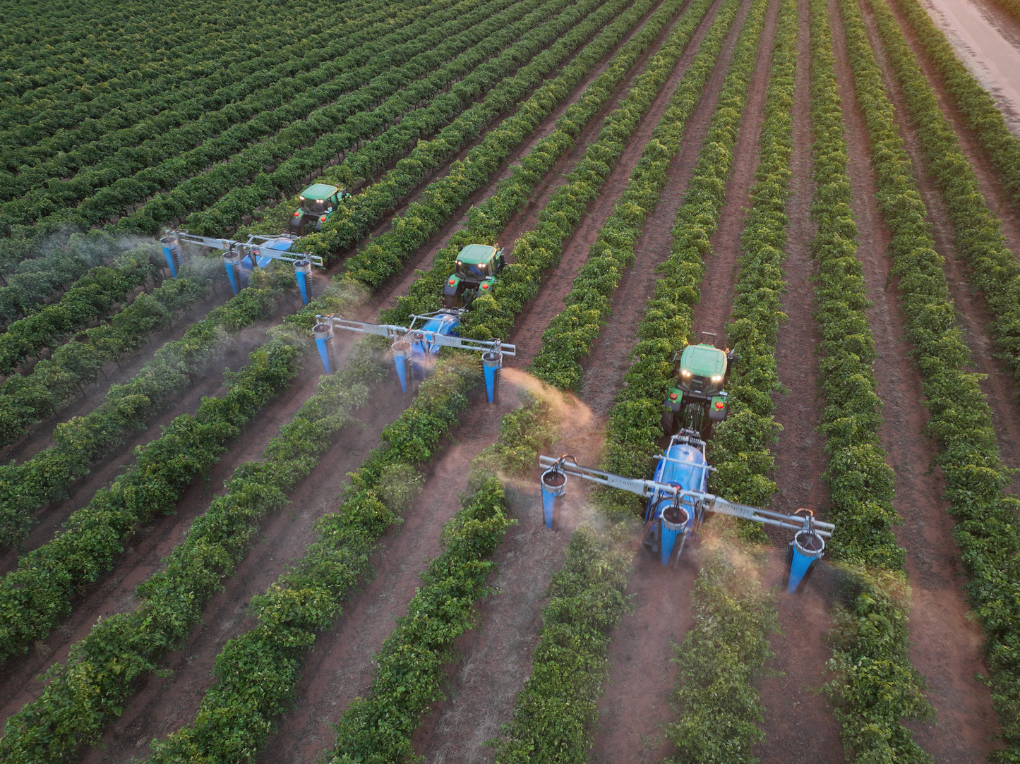 Vortex 3 Row Vineyard