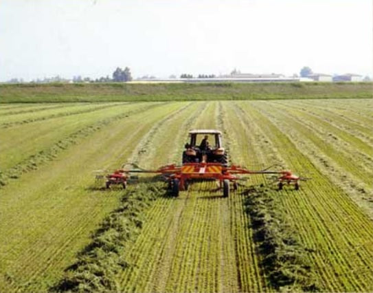 Fiorini - Super Big 1000 (Combination Rake/Tedder)