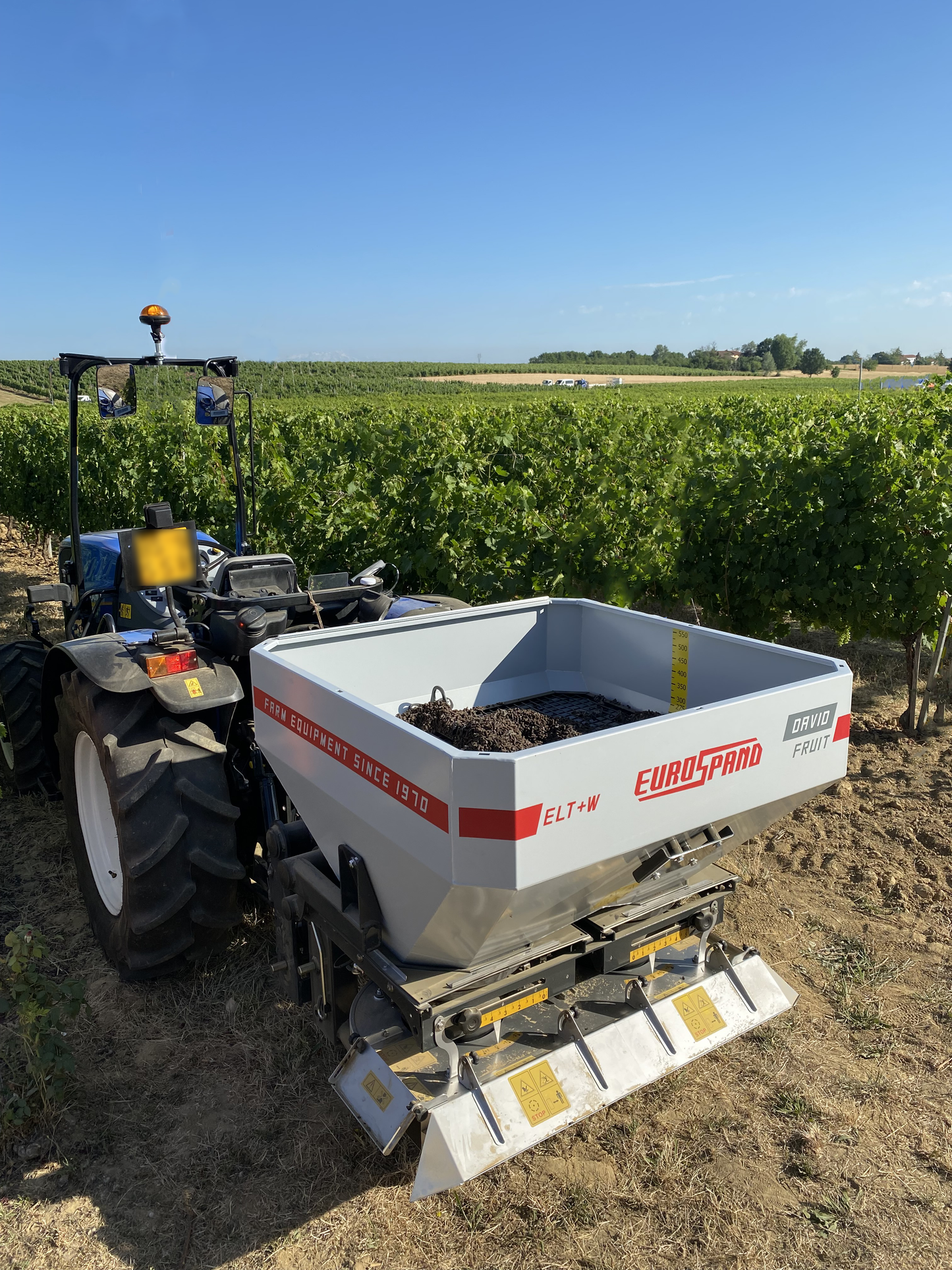 Cavallo/Eurospand - David 18 Fruit