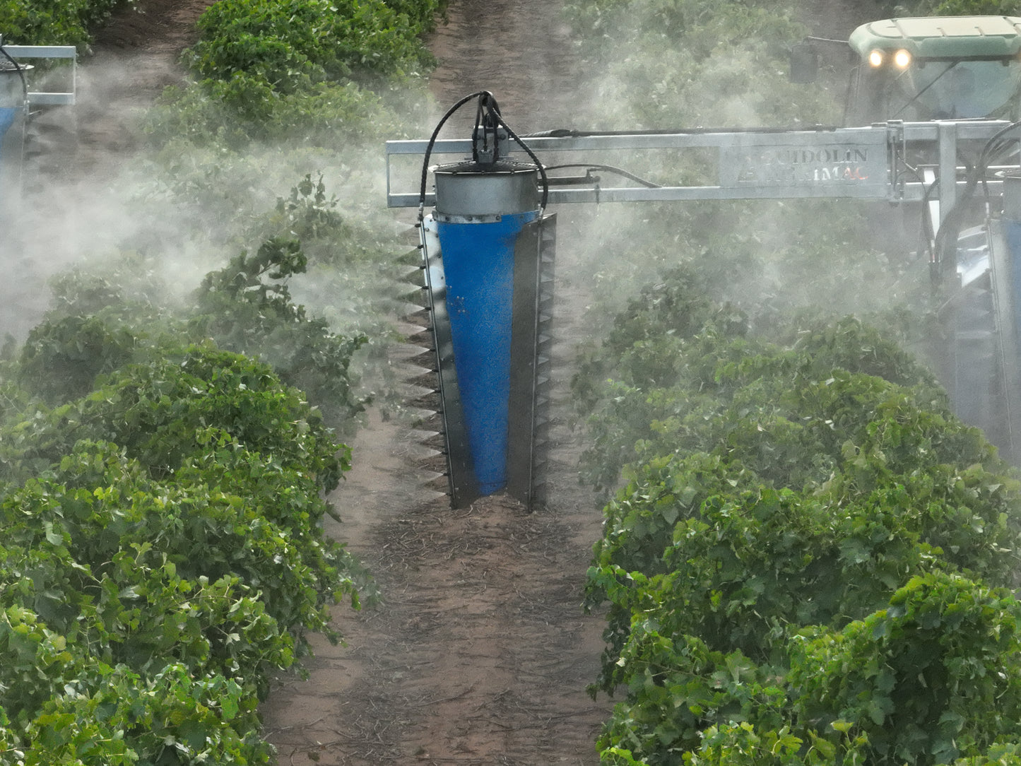 Vortex 3 Row Vineyard